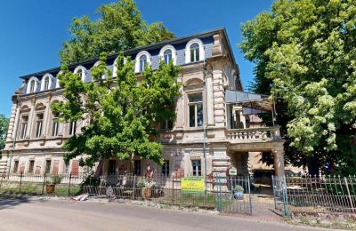 Herrenhaus/Gutshaus kaufen Elsteraue, Bornitzer Weg 01, Sachsen-Anhalt, Ein-Herrenhaus-mit-Seele-Geschichte-Charakter-und-auergewohnliche-Perspektiven (10)