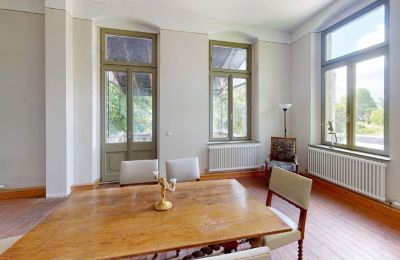 Herrenhaus/Gutshaus kaufen Elsteraue, Bornitzer Weg 01, Sachsen-Anhalt, Ein-Herrenhaus-mit-Seele-Geschichte-Charakter-und-auergewohnliche-Perspektiven (34)