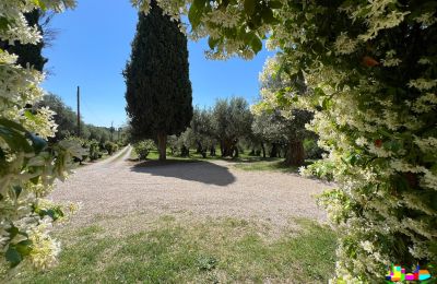Historische Villa kaufen 06061 Castiglione del Lago, localita croce 2, Umbrien, Foto 32/38