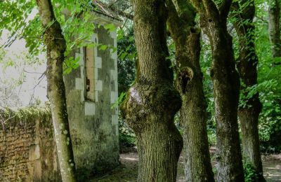 Schloss kaufen Chenonceaux, Zentrum-Loiretal, Foto 25/32