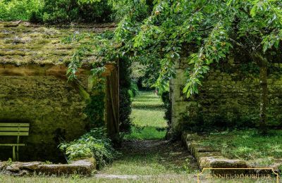 Schloss kaufen Chenonceaux, Zentrum-Loiretal, Foto 24/32