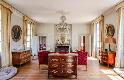 Schloss kaufen Chenonceaux, Zentrum-Loiretal, Foto 6/32