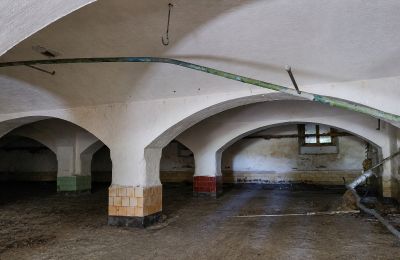 Historische Immobilie kaufen Wioska, Kujawien-Pommern, Foto 9/19