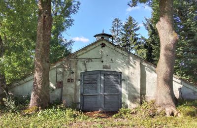 Historische Immobilie kaufen Wioska, Kujawien-Pommern, Foto 3/19