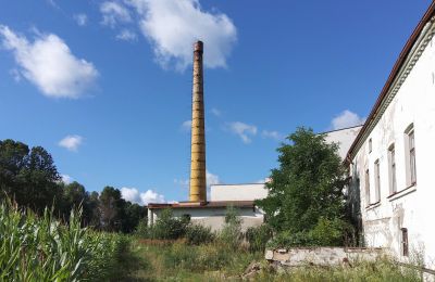 Historische Immobilie kaufen Wioska, Kujawien-Pommern, Foto 14/19