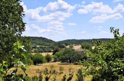 Landhaus kaufen Uzès, Okzitanien, Foto 18/38
