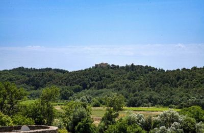 Historische Immobilie kaufen Uzès, Okzitanien, Foto 32/32