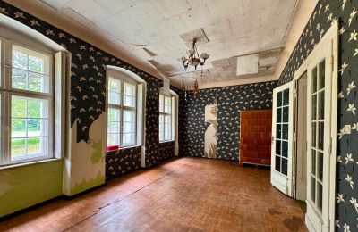 Herrenhaus kaufen Tarchalin, Großpolen, Foto 16/24