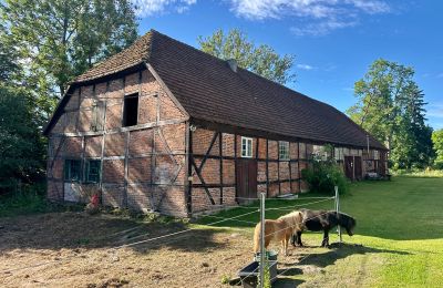 Burg kaufen 18513 Glewitz, Turow 19, Mecklenburg-Vorpommern, Foto 82/100
