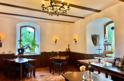 Burg kaufen 18513 Glewitz, Turow 19, Mecklenburg-Vorpommern, der Rittersaal