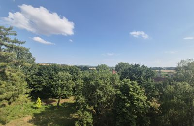 Schloss kaufen Koźmice, Niederschlesien, Foto 8/35