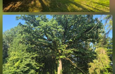 Schloss kaufen Koźmice, Niederschlesien, Foto 13/35
