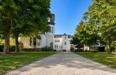 Historische Anwesen, Historische Villa von 1836 mit Parkgrundstück und Schlossblick im Rheingau