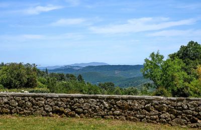 Landhaus kaufen Anduze, Okzitanien, Aussicht