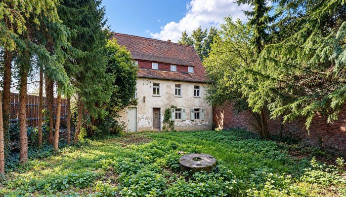 Historische Immobilie 06686 Lützen, Sachsen-Anhalt
