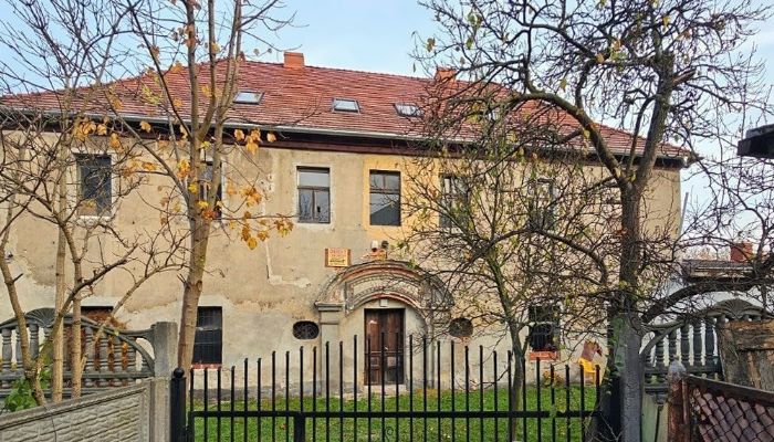  Żary 1