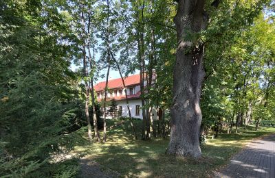 Herrenhaus kaufen Lodz, Foto 22/24