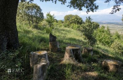Historische Immobilie kaufen San Agustín, Aragonien, Foto 16/27