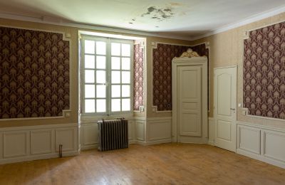 Schloss kaufen Bourges, Zentrum-Loiretal, Foto 10/16