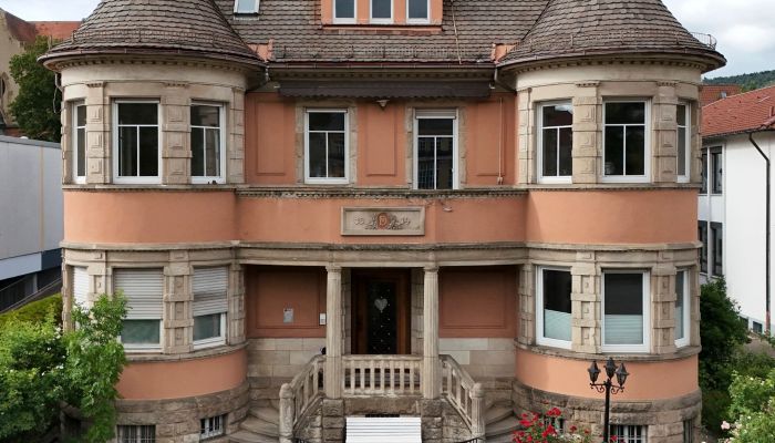 Historische Villa Ebingen, Baden-Württemberg