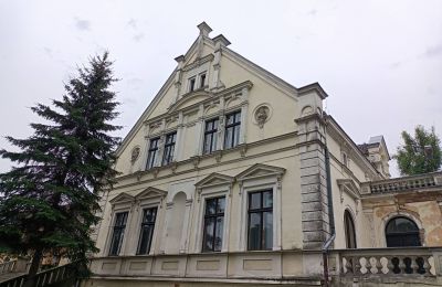 Schloss kaufen Lubinicko, Lubinek, Lebus, Seitenansicht