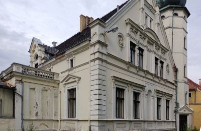 Schloss kaufen Lubinicko, Lubinek, Lebus, Gebäude mit Turm