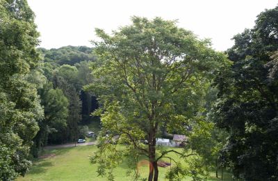 Rittergut Schloss Steinburg wird versteigert, Foto 13