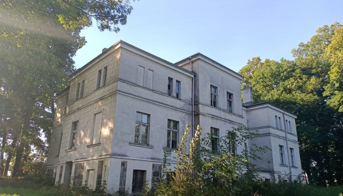 Herrenhaus/Gutshaus Goniembice 4