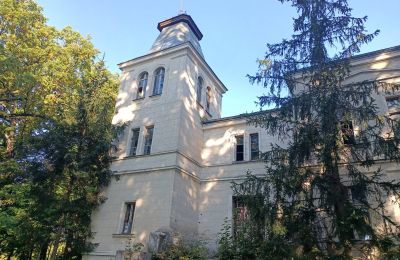 Herrenhaus/Gutshaus kaufen Goniembice, Dwór w Goniembicach, Großpolen:  