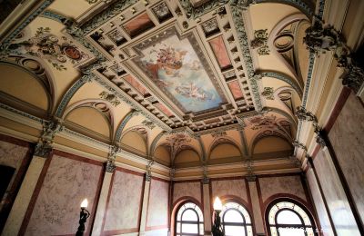 Historische Villa kaufen Ústecký kraj, Ballsaal