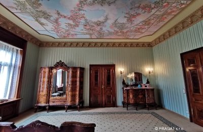Historische Villa kaufen Ústecký kraj, Foto 15/17