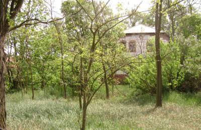 Landhaus kaufen Pleszew, Großpolen,, Foto 5/5