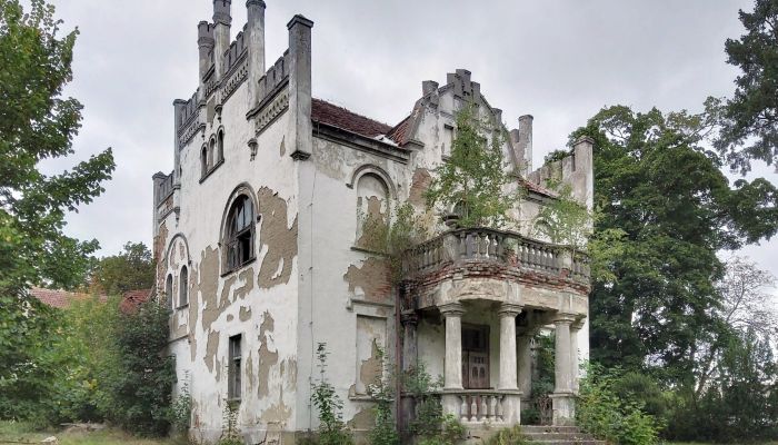 Herrenhaus/Gutshaus kaufen Piotrowo, Großpolen