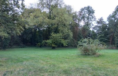 Herrenhaus/Gutshaus kaufen Brodnica, Großpolen, Park