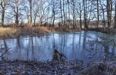 Herrenhaus/Gutshaus kaufen Smaszew, Dwór w Smaszewie, Großpolen:  Teich/See