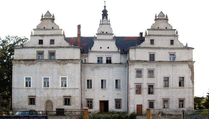 Schloss kaufen Wilków Wielki, Niederschlesien,  Polen