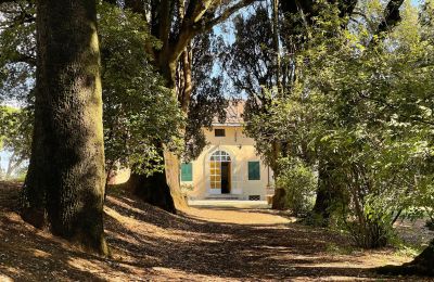 Historische Villa kaufen Siena, Toskana:  RIF 2937 Blick auf Eingang