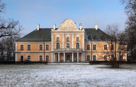Czempiń, Pałac Czempiń - Palast in Czempiń