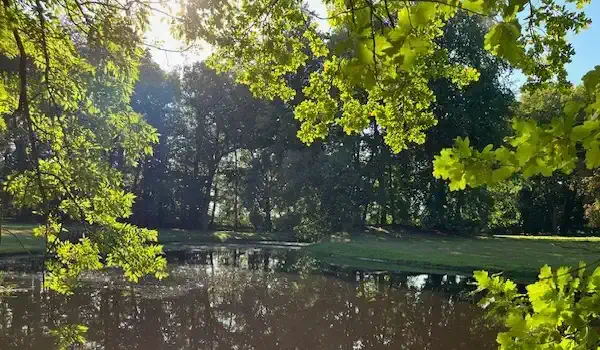 Schlosspark mit Teich, Herrenhaus Niendorf