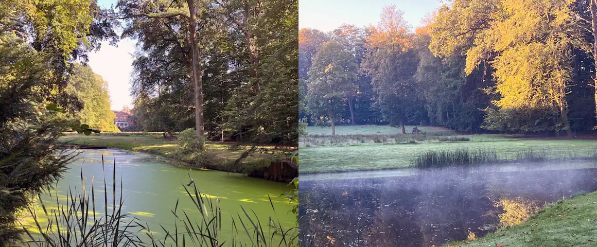 Der Park von Schloss Niendorf / Stecknitz bei Hamburg