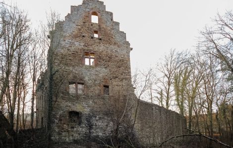 Lehrbach, Burg Lehrbach - Burgruine Lehrbach