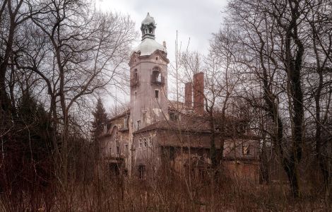 Zeitz, Villa Steineck - Villa Weltfrieden in Zeitz