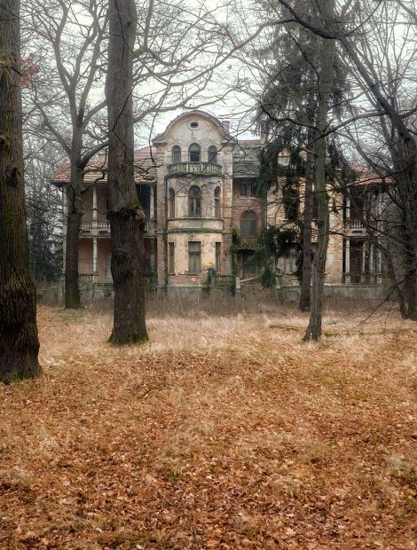  - Milanówek: Villa Zosinek