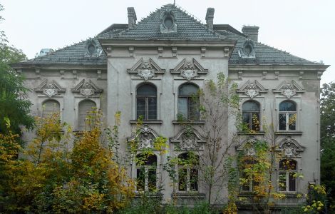 Nielęgowo, Nielęgowo - Palast in Nielęgowo - "Willa Berlińska"