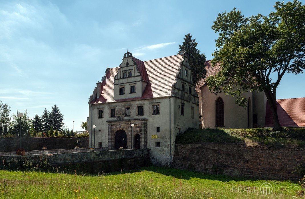 Schloss in Siedlisko, Siedlisko