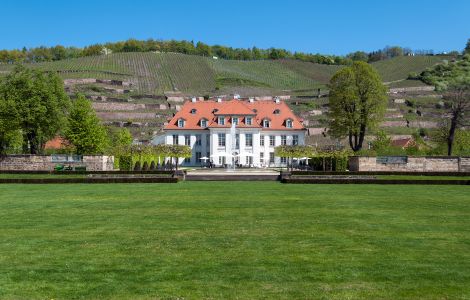 Radebeul, Wackerbarth - Schloss Wackerbarth, Sächsisches Staatsweingut