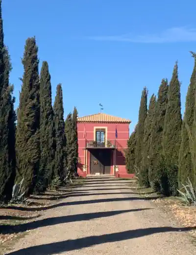 Immobilienangebote in Spanien Kastilien-La Mancha