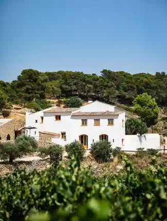 Historische Masía mit Weinbergen südlich von Barcelona